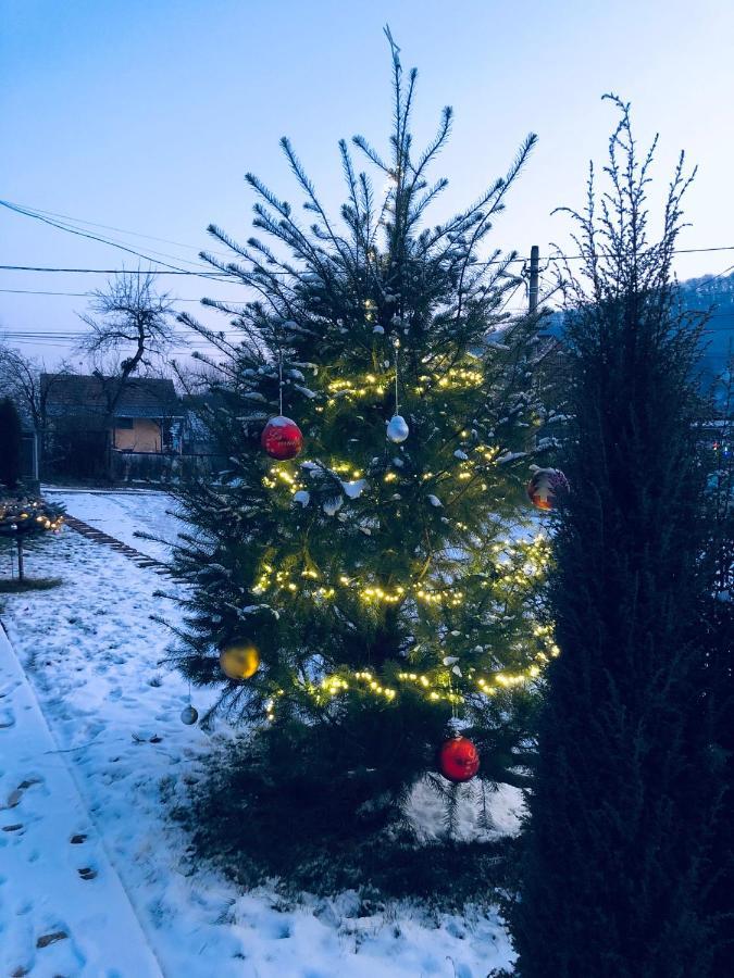 Hotel Poenita Sighişoara Eksteriør billede